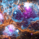 NGC 6357, un cúmulo de cúmulos de jóvenes estrellas.
Imagen: X-ray: NASA/CXC/PSU/L.Townsley et al; Optical: UKIRT; Infrared: NASA/JPL-Caltech